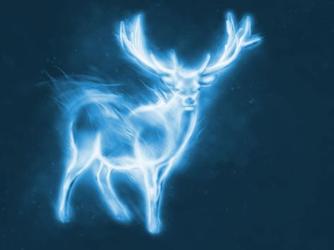 For all the Potterheads, and those who are not, have you ever wondered what yours would be? Take this quiz to find out! Patronus Quiz, Stag Patronus, Quiz Harry Potter, Pottermore Quiz, Harry Potter Kostüm, Harry Potter Witch, Harry Potter Experience, Harry Potter House Quiz, Harry Potter Quiz