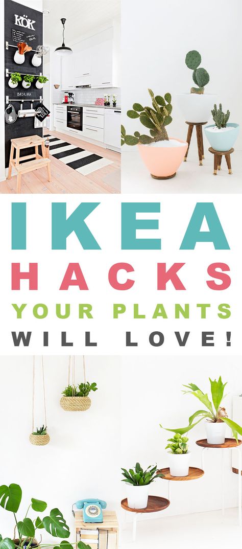 IKEA Hacks Your Plants Will LOVE! - The Cottage Market Ikea Plant Wall, Ikea Plant Stand, Ikea Planters, Ikea Plant, Ikea Lanterns, Ikea Basket, Mid Century Modern Plant Stand, Ikea Plants, Ikea Raskog