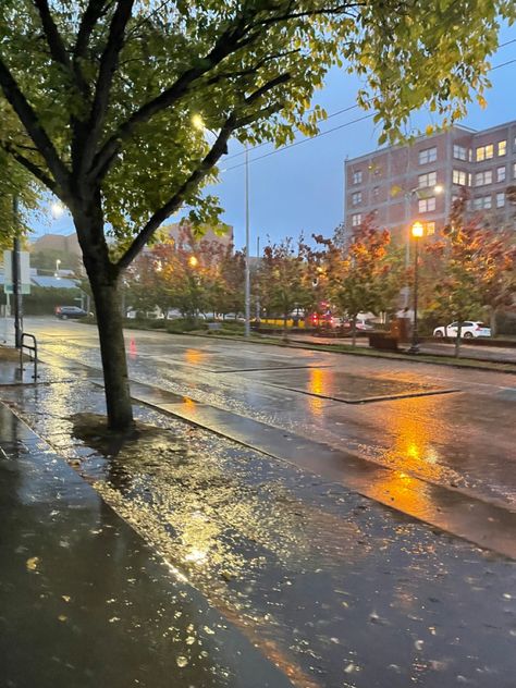 Rainy California Aesthetic, Seattle Autumn, Rainy Vancouver Aesthetic, Seattle Vibes, Seattle Aesthetic Rain, Seattle Rainy Day, Seattle Apartment Aesthetic Rain, Rainy Seattle, Seattle Weather