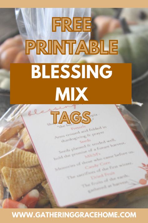 Harvest Blessing Mix Recipe, Blessings Mix Recipe, Party Mix For Thanksgiving, Thanksgiving Snack Mix Printable, Thanksgiving Blessing Mix Free Printable, Thanksgiving Blessing Mix Recipe, November Ministering Ideas, Blessing Mix Free Printable, Blessing Mix Recipe