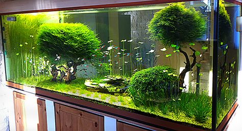 Aquascaping Aquarium Mural, Fish Tank Themes, Amazing Aquariums, Fish Tank Terrarium, Diy Fish Tank, Cool Fish Tanks, Aquascape Design, Fish Tank Design, Fresh Water Fish Tank