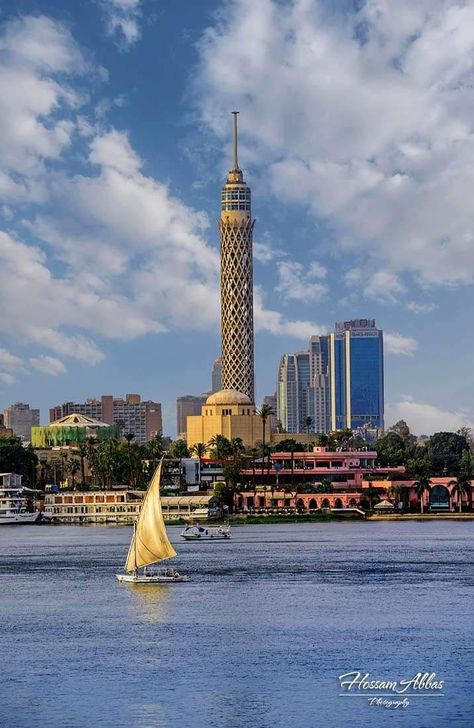 Egyptian Lotus Flower, Cairo Tower, Egyptian Lotus, Places In Egypt, El Gouna, Life In Egypt, Egypt Aesthetic, Egypt Culture, Amazing Places To Visit