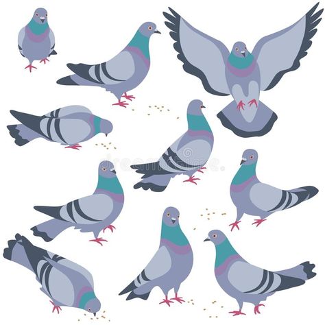 Set of Gray Doves in Motion vector illustration Dove Drawing, 카드 디자인, Flat Illustration, Bird Art, 그림 그리기, Pigeon, Drawing Sketches, Art Sketches, Animal Art