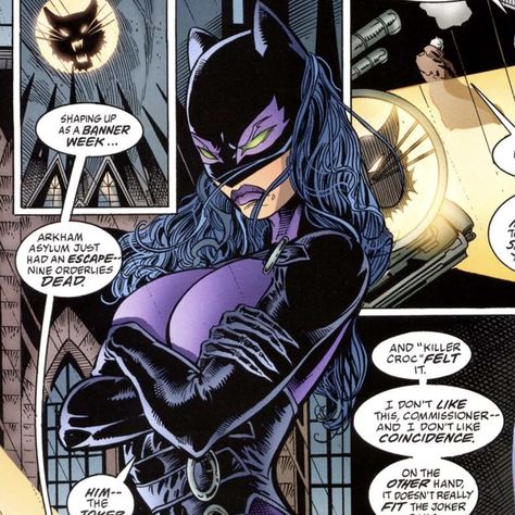 selina kyle aka catwoman icon. Selina Kyle Comic, Selina Kyle Icon, Felicia Hardy, Book Outfits, Catwoman Selina Kyle, Dc Comics Girls, Killer Croc, Black Cat Marvel, Gotham Girls