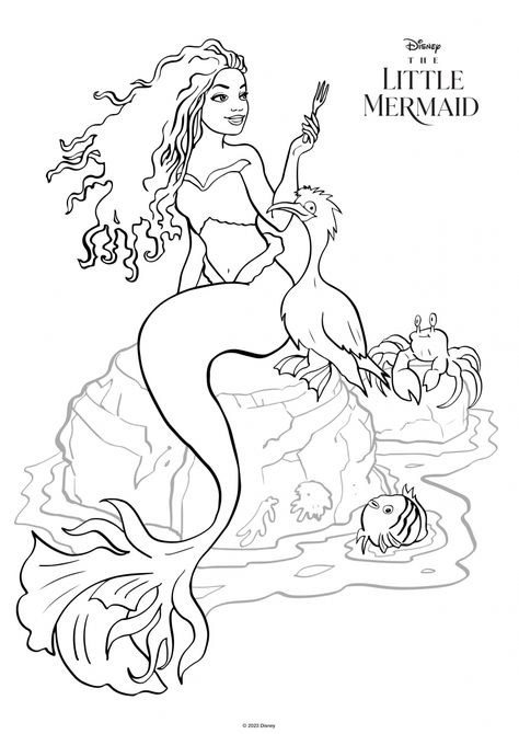 The Little Mermaid movie 2023 coloring pages with Ariel Halle Bailey - YouLoveIt.com Little Mermaid Coloring Pages, Descendants Coloring Pages, Pintar Disney, Halle Bailey Little Mermaid, Ariel Color, Ariel Coloring Pages, Ariel Drawing, Mermaid Sketch, Little Mermaid Live Action