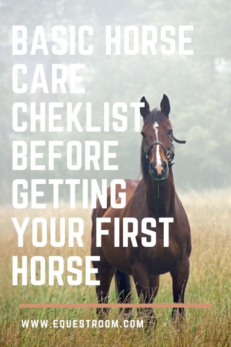 Are you ready for your first horse? Getting a new horse is always an exciting time! It would bring you a lot of happiness, as well as responsibility. Make sure you are ready for your first horse before you make a final decision. Here is a checklist for you, so you can make sure everything is ready to welcome your new friend! You have to understand the basics of feeding the horse. Each horse is different and accordingly has different needs. The amount of feed your horse needs will depend on m Senior Horse Care, Horse Ownership, Buy A Horse, Diy Horse, Winter Horse, Horse Care Tips, Horse Info, Horse Riding Tips, Mini Horse