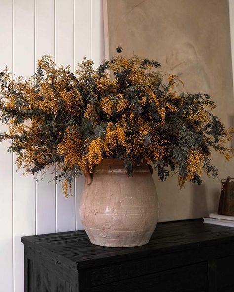 Maple Ridge, Leafy Plants, Shoppe Amber Interiors, Urn Planters, Amber Interiors, Fall Foliage, Autumn Inspiration, Autumn Home, Fall Home Decor