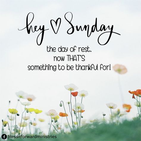 Hey Sunday - day of rest Day Of Rest Quotes, Quotes About Weekend, Happy Sunday Messages, Rest Quotes, Blessed Sunday Quotes, Sunday Messages, Have A Beautiful Sunday, Praying For Your Husband, Creative Bible