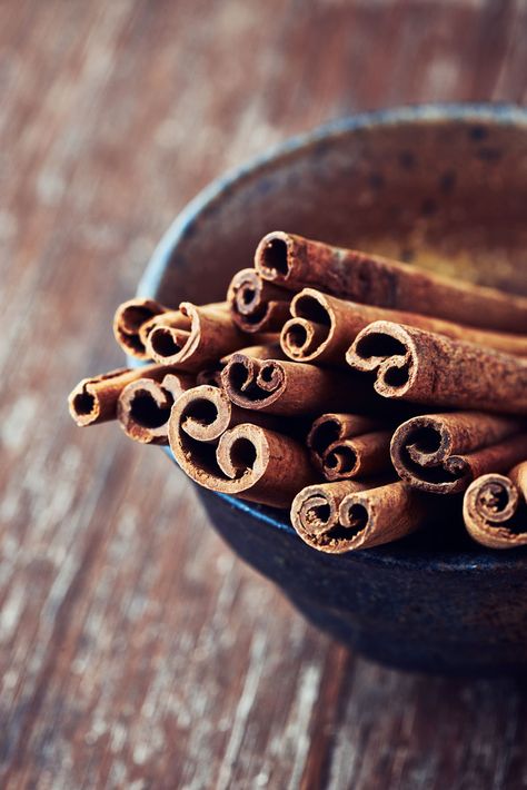 "Grow your own Cinnamon!  Cinnamon is well known for its culinary uses, yet it is hardly ever grown in ordinary home settings. Learn how to care for this surprisingly easy-to-grow tropical herb." Grow Cinnamon, Astuces Diy, Growing Herbs, Green Life, Veggie Garden, Growing Food, Edible Garden, Permaculture, Dream Garden