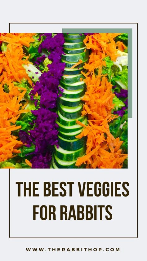 If you want to add fresh vegetables to your bunny's diet, look no further. This guide will tell you everything you need to know about the best rabbit veggies, including nutritional information and serving sizes. Rabbit Veggie List, Rabbit Veggies, Veggies For Rabbits, Vegetables For Rabbits, Best Veggies, Rabbit Diet, Serving Sizes, Rabbit Food, Pet Bunny