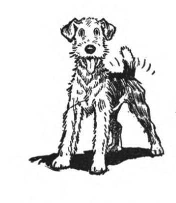 Illustration by Edwina, taken from "Two Gentleman and a Lady". c. 1928 Cowboy Artwork, Rukia Bleach, Getting A Tattoo, Wire Fox Terrier, Minimalist Tattoos, Airedale Terrier, Tattoo Flash Art, Black Ink Tattoos, Dog Illustration