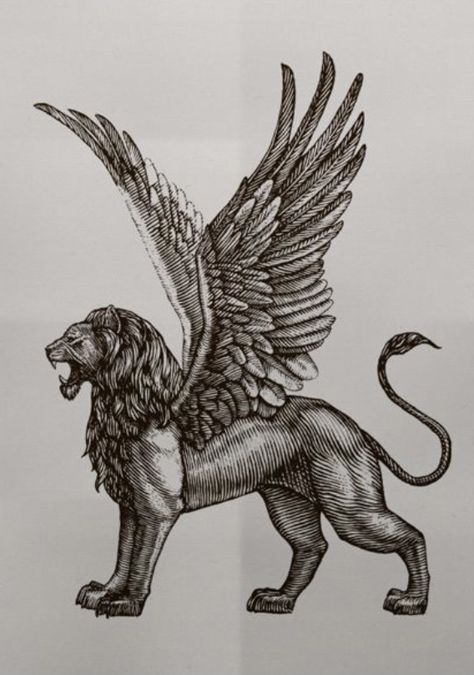 Greek Animal Tattoo, Engravers Tattoo, Horde Tattoo, Hermes Mythology, Braid Quotes, Martial Arts Tattoos, Sphinx Tattoo, Eagle Wing Tattoos, Pegasus Tattoo