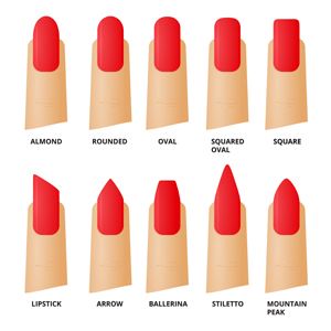 Nail forms. Female manicure. Set kinds of nails. Fashion nail shape. Icons nail shape. Collection of kinds of nails. Vector illustration. Nails Forms Shape, Red Almond Shaped Nails, Nail Shapes And Lengths, Iconic Nails, Shape Icons, Nail Shapes Squoval, Lipstick Nails, Acrylic Nail Shapes, New Nail Designs