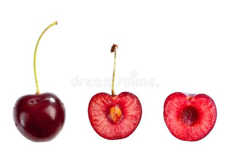 Cherry Drawing, Cherry Tattoos, White Image, Funky Art, Adobe Stock, Stock Images Free, Line Art, Split, Cherry