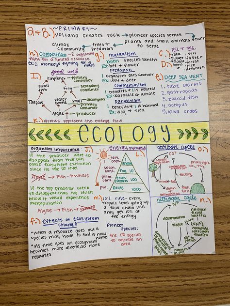 Biology Notes Ecology, Ecology Notes College, One Pager Ideas Aesthetic Science, One Pager Science, Ap Environmental Science Notes Aesthetic, Ecology Notes Aesthetic, Biology One Pager, Leaving Cert Notes, One Pager Ideas Aesthetic