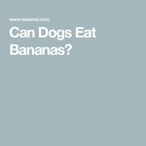 Can Dogs Eat Bananas? Can Dogs Eat Bananas, Foods For Dogs, Eating Bananas, Dried Bananas, Good Source Of Fiber, Dog Diet, What Dogs, Good Sources Of Protein, Cooking Turkey