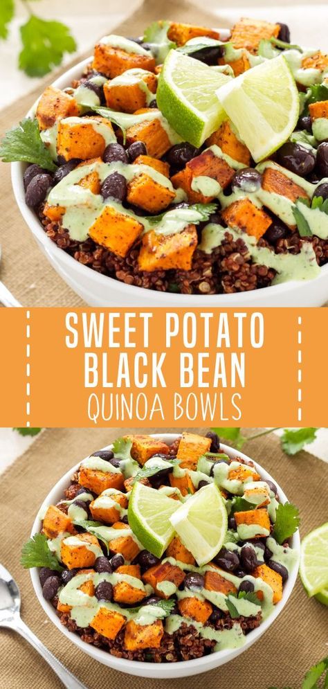 Vegetarian Main Dish, Sweet Potato And Black Bean, Sweet Potato Black Bean, Holiday Lunch, Quinoa Bowls, Black Bean Quinoa, Sweet Potato Black Beans, Vegetarian Main Dishes, Healthy Bowls