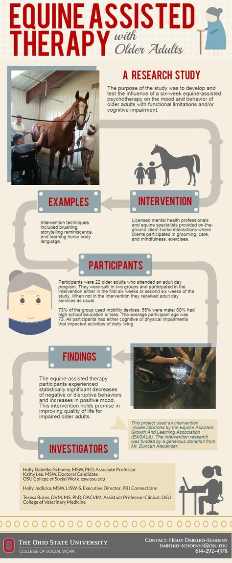 social work, horses, animal assisted therapy, infographic, equine assisted therapy, MSW, lcsw Equine Assisted Learning Activities, Equine Assisted Therapy Activities, Equine Therapy Activities, Therapy Infographic, Equine Therapy Business, Animal Assisted Therapy, Equine Massage Therapy, Equine Assisted Therapy, Pemf Therapy Horses