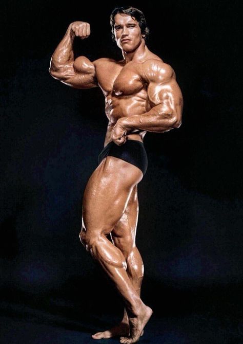 Arnold Gym, Arnold Schwarzenegger Gym, Arnold Schwarzenegger Muscle, Arnold Bodybuilding, Arnold Photos, Go To Gym, 남성 근육, Arnold Schwarzenegger Bodybuilding, Schwarzenegger Bodybuilding