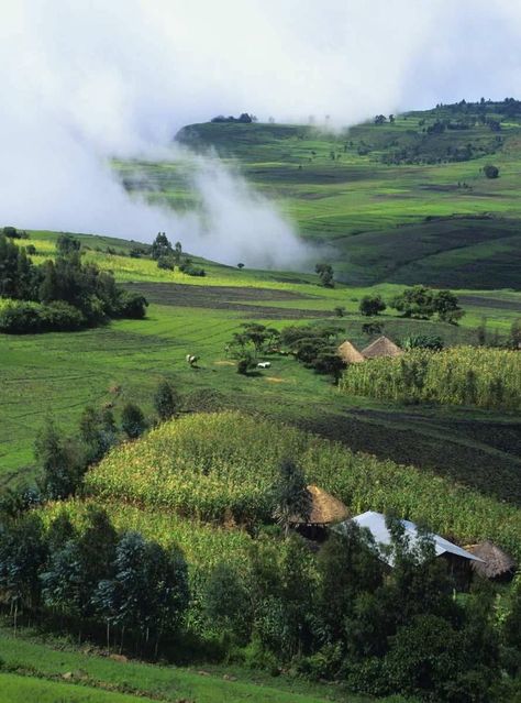 Ethiopia Landscape, Oromia Ethiopia, Ethiopian Landscape, Ethiopian Highlands, Ethiopia Travel, Oromo People, Retirement Activities, Ethiopian Culture, Travel Africa