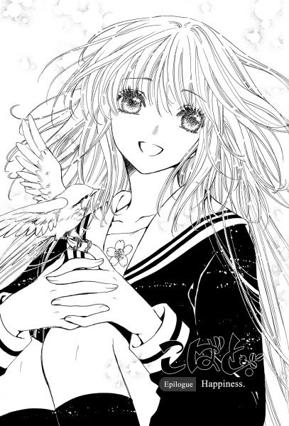 Tsubasa Chronicles, 캐릭터 드로잉, Me Anime, Sakura Card, Card Captor, Manga Artist, Cardcaptor Sakura, Manga Illustration, الرسومات اللطيفة