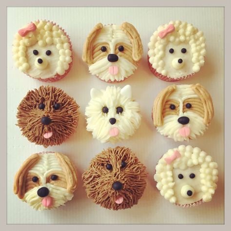 Cute Puppy Cupcakes, Bernedoodle Cupcakes, Cupcakes That Look Like Dogs, Dog Design Cupcakes Ideas, Birthday Cupcakes Dog Theme, Cupcakes Decorated Like Dogs, Puppy Party Cupcakes, Animal Face Cupcakes, Puppy Theme Cupcakes