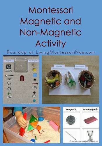 Montessori Monday – Montessori Magnetic and Non-Magnetic Activity Montessori Science Activities, Meadow Cottage, Preschool Farm, Montessori Curriculum, Magnet Activities, Pre-k Science, Montessori Science, Montessori Language, Montessori Lessons