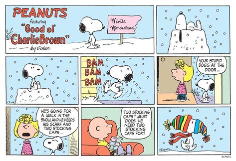 Sunday Comics, Snoopy Comics, Snoopy Cartoon, Peanuts Comic Strip, Snoopy Funny, Snoopy Quotes, The Peanuts, Stocking Cap, Snoopy Love