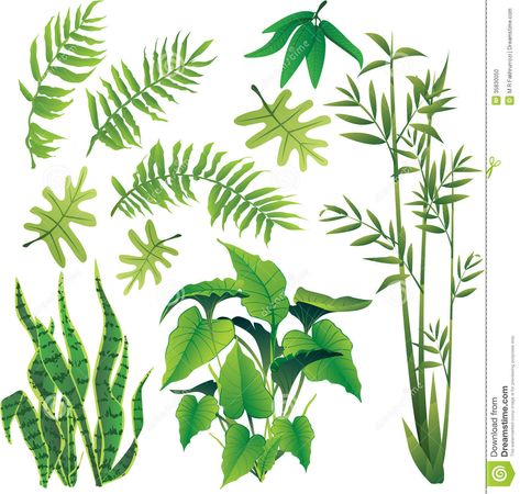 Exotic leaves Jurassic Park Tattoo, Dinosaur Plant, Bush Garden, African Jungle, Jungle Tree, Painting Flowers Tutorial, Plant Vector, Illustration Botanique, Forest Illustration