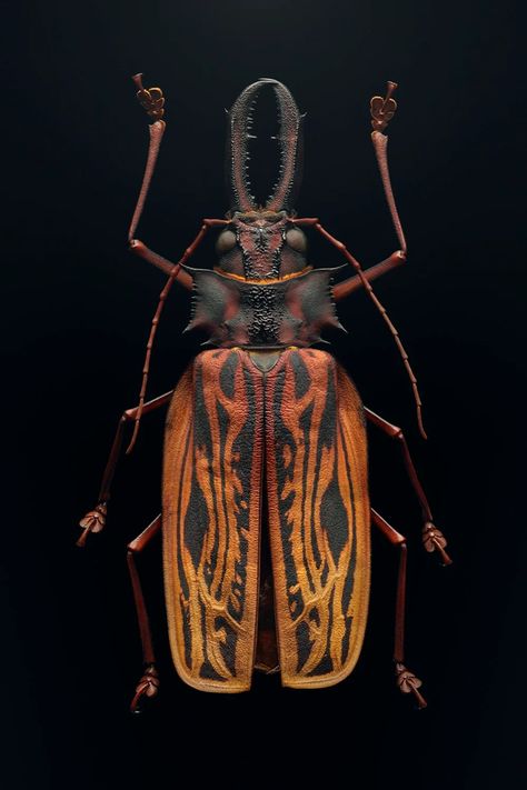 Colourful Insects, Longhorn Beetle, Joel Sartore, Lady Beetle, Insect Photography, Natural Ecosystem, Colossal Art, Water Colours, Beautiful Bugs