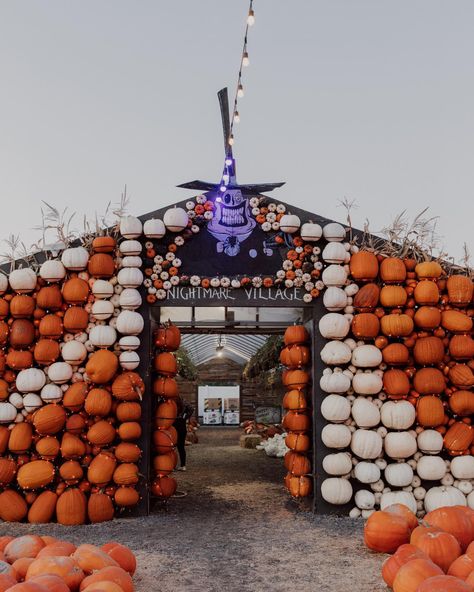 13 Kid-Friendly Halloween Activities & Pumpkin Patches in Utah - The Minivan Bucket List Utah Bucket List, Pig Races, Halloween Train, Scarecrow Festival, Best Pumpkin Patches, Kid Friendly Halloween, Scenic Railroads, Pumpkin Patches, Kid Friendly Activities