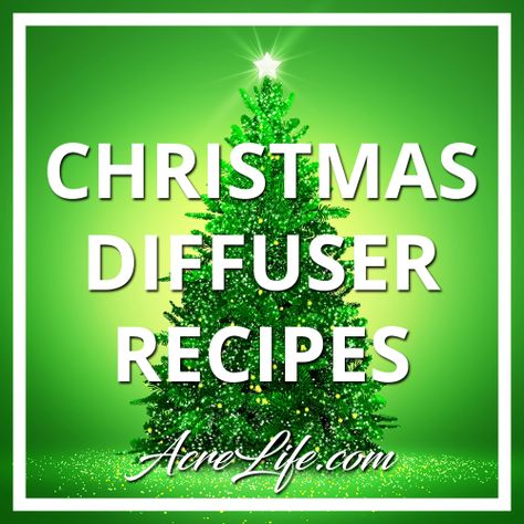 Essential Oil Christmas Diffuser Recipes - Acre Life Christmas Tree Diffuser Blend, Christmas Tree Essential Oil Blend, Essential Oil Recipes Diffuser, Christmas Diffuser Recipes, Essential Oil Christmas, Christmas Tree Essential Oil, Smells Of Christmas, Christmas Spirit Essential Oil, Christmas Diffuser Blends