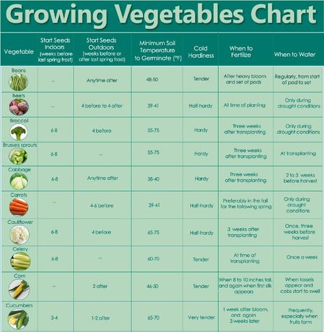 Growing Vegetables Chart Vegetable Growing Chart, Info Table, Vegetable Chart, Growing Veggies, Magical Garden, Growth Chart, Grow Your Own Food, Veggie Garden, Growing Food