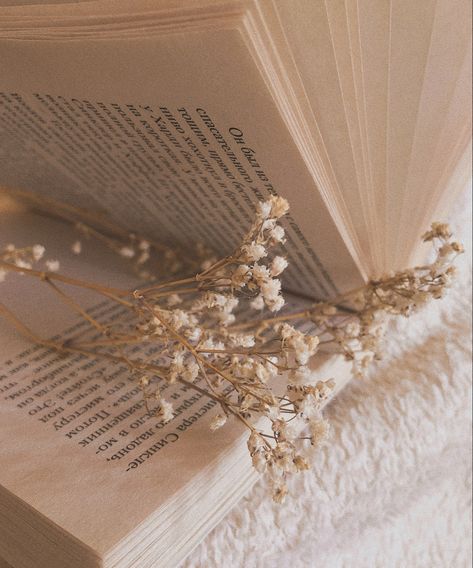 Tan Book Aesthetic, Book Flowers Aesthetic, Soft Beige Aesthetic Vintage, Book With Flowers Aesthetic, White Books Aesthetic, Flowers And Books Aesthetic, Paige Aesthetic, Book Astethic, Beach Sunset Wallpaper