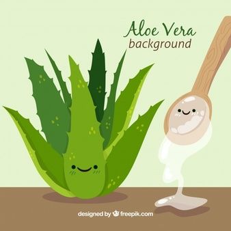 Free Vector | Aloe vera plant illustration Premium Vector Background, Aloe Barbadensis Miller, Aloe Vera Plant, Art Painting Gallery, Plant Illustration, Fitness Life, Life Images, Vector Background, Background Design