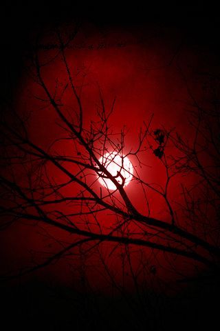 Spooky Moon, Gothic Drawings, I See Red, Romantic Goth, Dark Grunge, Theme Background, Red Moon, Blood Moon, Red Wallpaper