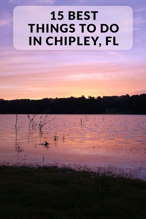 Discover the best things to do and top-rated attractions in Chipley, FL, including Falling Waters State Park, Seacrest Wolf Preserve, and more! Chipley Florida, Florida Caverns State Park, Lake Swimming, Falling Waters, Falling Water, Washington County, Trail Riding, Town And Country, Historical Society