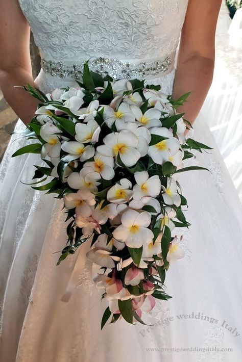 Frangipani Wedding Bouquet, Hawaiian Flower Bouquet, Frangipani Bouquet, Frangipani Wedding, Plumeria Bouquet, Weddings Italy, Anniversary Reception, Beach Bouquet, Delicate Bouquet