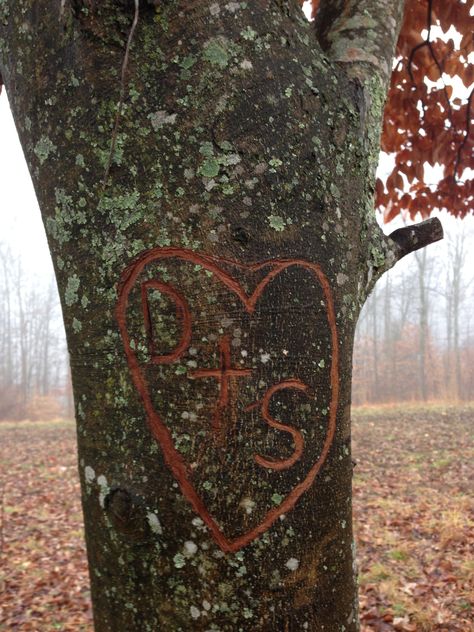 Our initials carved in our tree... Tree Carving Initials, Tree Initials, Landscape References, Couple Engagement Pictures, Tree Carving, Creative Artwork, Maybe One Day, Married Life, Engagement Pictures