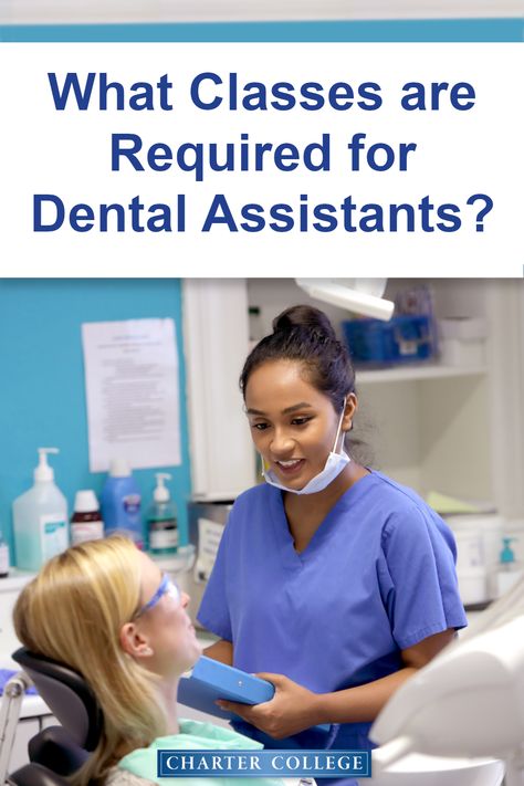 Dental Assisting, Dental Assistant, Oral Health, Hands On, Health