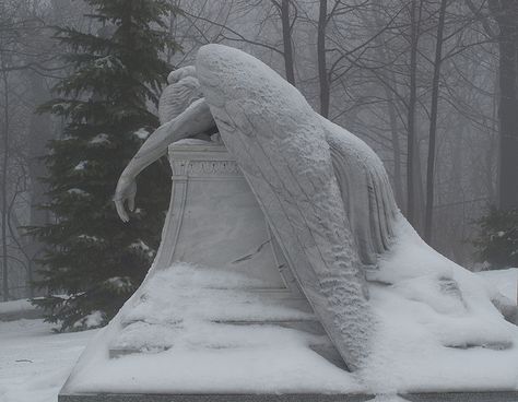 by Fransois, via Flickr - http://www.flickr.com/photos/fransois/4220329716# Grave Domain Cleric Aesthetic, Angel Falls, Cemetery Angels, Cemetery Statues, The Fallen Angel, Weeping Angel, Angel Statue, Theme Nature, Angel Sculpture