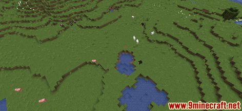 Animals And Plants, Minecraft Tutorial, Biome, Creepers, Minecraft, Plants, Animals