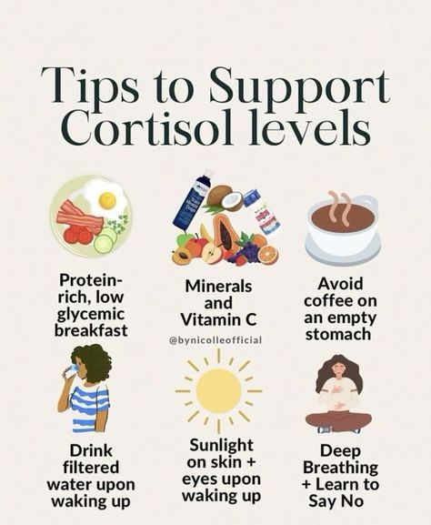 Improve productivity and sleep Healthy Cortisol Levels, Vitamins For Cortisol, Lose Cortisol Belly, Cortisol Balancing Diet, Cortisol Reducing Foods, How To Lower Cortisol Levels Women, How To Balance Cortisol Levels, Cortisol Detox Diet, Vagas Nerve