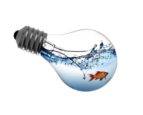 Light Bulb Fish, Lightbulb Art, Bulb Photography, Waterfall Project, Light Bulb Art, Fire Horse, Bowl Light, Creation Photo, Inspiration Tattoo