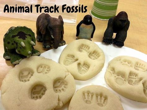 Animal Track Fossils Fossils Lesson, Preschool Jungle, Jungle Activities, Animal Activities For Kids, Animal Lessons, Homemade Playdough Recipe, Animal Footprints, Playdough Activities, Farm Activities