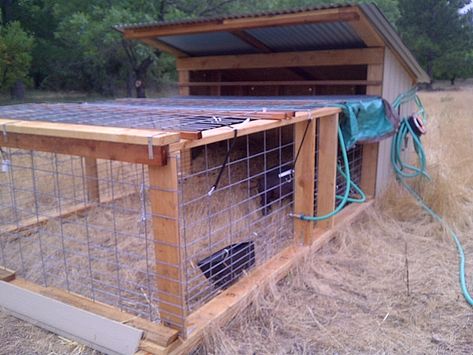 The pig tractor Pig Tractor, Hog Farm, Chicken Barn, Raising Pigs, Paddock Paradise, Poultry House, Chicken Tractor, Farm Plans, Homestead Farm