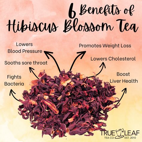 Rich in vitamin C, flavonoids, antioxidants and this herbal tea is consumed worldwide for its beautiful pink hue and the refreshing citric taste. Hibiscus has been proven to reduce hypertension, improve digestion, reduce bloating and is great for weight management as well as help maintain hydration levels for proper organ functions. Hibiscus tea can be enjoyed over ice or piping hot. Mystical Kitchen, Organ Functions, Hibiscus Benefits, Hibiscus Tea Benefits, Tea Health, Medical Herbs, Food Health Benefits, Herbal Apothecary, Natural Healing Remedies