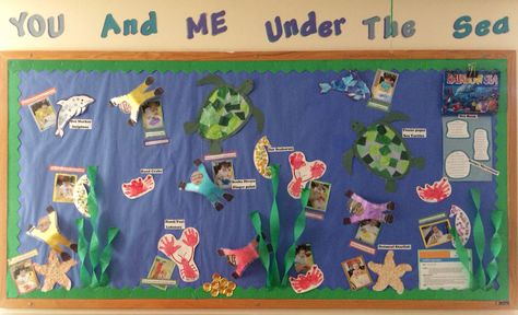 Under the Sea Under The Sea Family Tree, Bumblebee Crafts, Childcare Environments, Classroom Boards, Daycare Room, Childrens Library, Family Boards, Family Board, Eu Flag