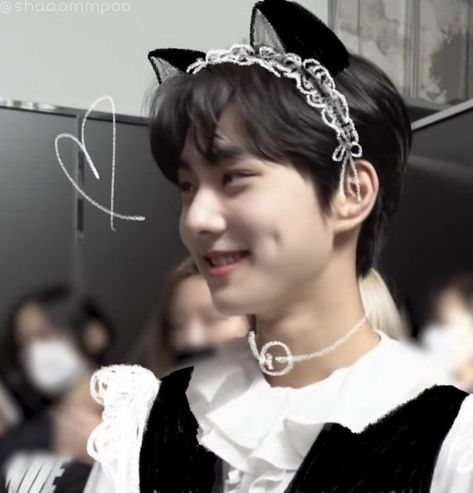 Jungwon With Cat, Cat Jungwon, Jungwon Cat, Amagi Brilliant Park, Yang Jungwon, Maid Outfit, Look At The Stars, The Boy Is Mine, Funny Cute Cats