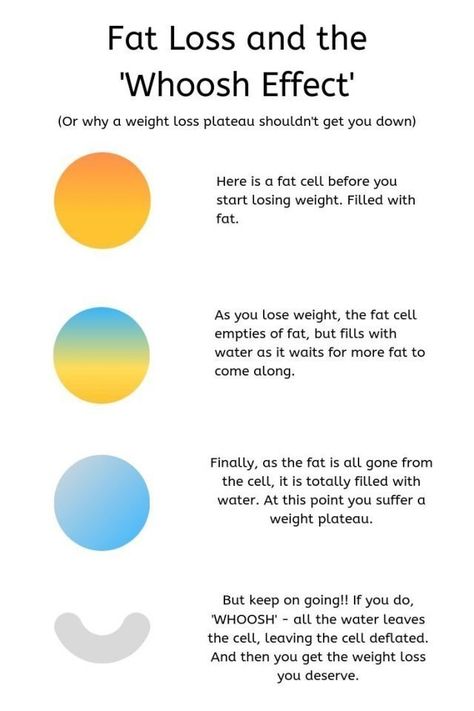 The 1:1 diet by Cambridge Weight Plan. Fat Loss and The WHOOSH effect. Why a weight loss plateau should not get you down. Pictorial explanation of how fat loss works and how you retain water when losing weight. #weightloss #cwp #cambridgediet #one2one #1:1diet #cambridgeweightplan #weightlossplateau #dietingtips #weightlosstips Herzogin Von Cambridge, Cambridge Weight Plan, Start Losing Weight, Cambridge Satchel, Losing Weight, Lose Belly Fat, Diet Plan, Fat Loss, Massachusetts